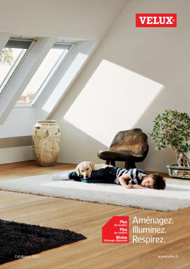 380px_Brochure_VELUX-2013.jpg