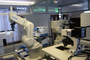 Eve the robot Eve the robot