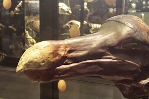 14268_large-2.jpg 14268_large-2.jpg