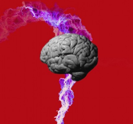 Brain - Professor Anthony Jones pain tour Brain