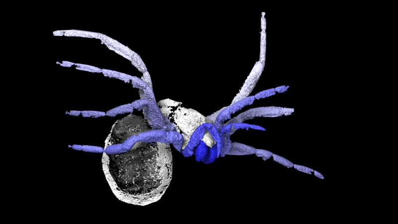 garwood-et-al-fig-2a.png