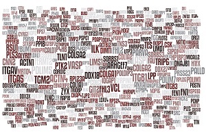 wordcloud.jpg