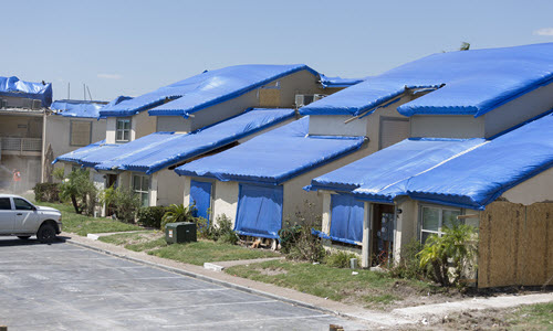 Tarps being used to protect property post-hurricane