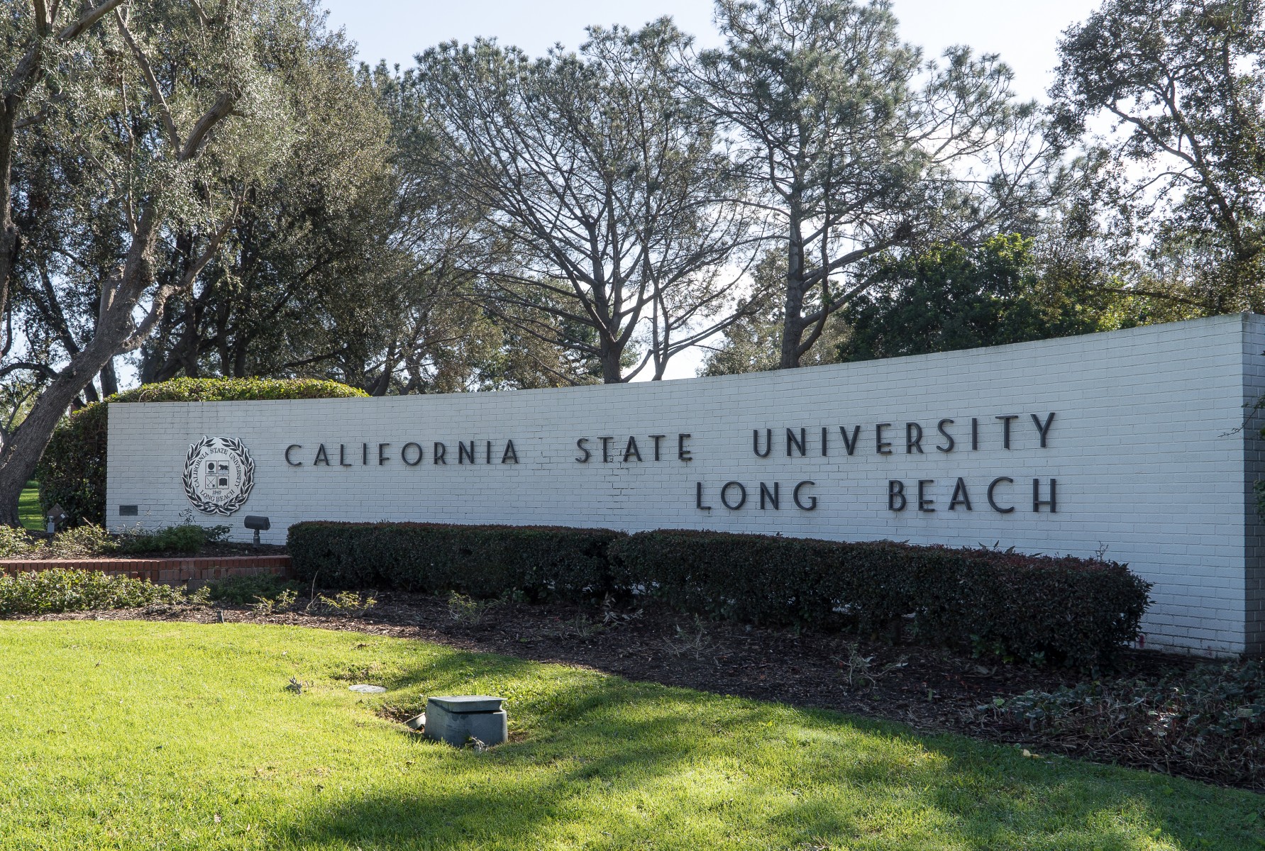 california state university long beach application essay California state university admission application lh-114 (657) please contact arwebmaster@fullertonedu. california state university long beach application essay California state university admission application lh-114 (657) please contact arwebmaster@fullertonedu.