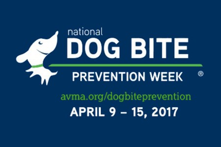 dog-bite-prevention dog-bite-prevention