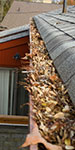 clean-gutters_75x150.jpg