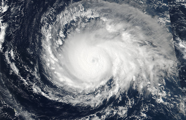 Hurricane+Article