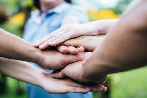 close-up-team-students-teamwork-stack-hands-together-startup-success-concept - Close up team students teamwork stack hands together. Startup, Success concept. close-up-team-students-teamwork-stack-hands-together-startup-success-concept