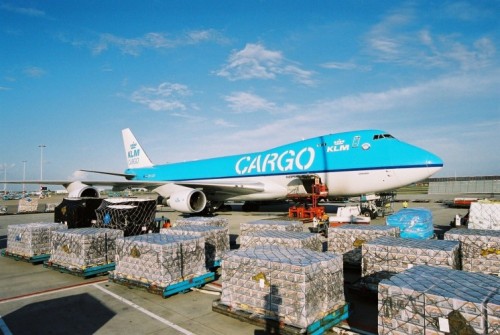 KLM Cargo launches pilot project to optimise supply chain.jpg