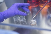 lab135.jpg