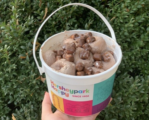Hershey's Loaded Cocoa Mini Donuts - Hershey's Loaded Cocoa Mini Donuts