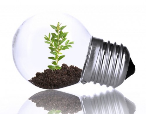 stock-photo-green-eco-energy-concept-plant-growing-inside-light-bulb-isolated-on-white-172666370.jpg - Green eco energy concept. Plant growing inside light bulb, isolated on white stock-photo-green-eco-energy-concept-plant-growing-inside-light-bulb-isolated-on-white-172666370.jpg