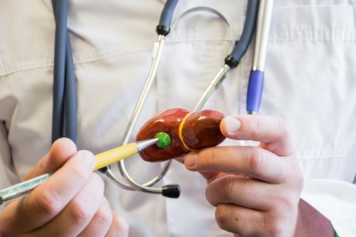 gallbladder gallbladder
