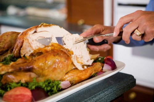turkey carving - turkey carving