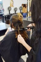 Press Page Art_Cosmetology Class 2017 - Press Page Art_Cosmetology Class 2017