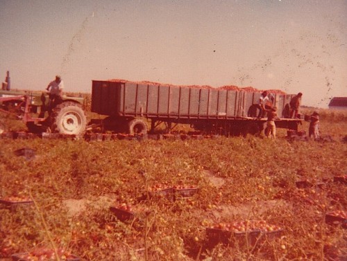 Farmworkers’ Memories Coming to Life During Oral History and Panel Discussion Scheduled April 4 image