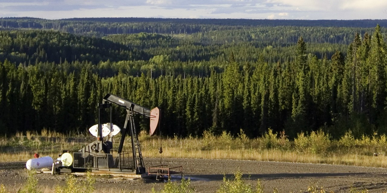 A new report from the Alberta Biodiversity Monitoring Institute shows that northern Alberta has been largely untouched between 1999 and 2015, but human activity in the entire province converted an area of native ecosystems about 3.5 times the size of Banff National Park into residential, recreational or industrial landscapes. (Photo: ABMI) A new report from the Alberta Biodiversity Monitoring Institute shows that northern Alberta has been largely untouched between 1999 and 2015, but human activity in the entire province converted an area of native ecosystems about 3.5 times the size of Banff National Park into residential, recreational or industrial landscapes. (Photo: ABMI)