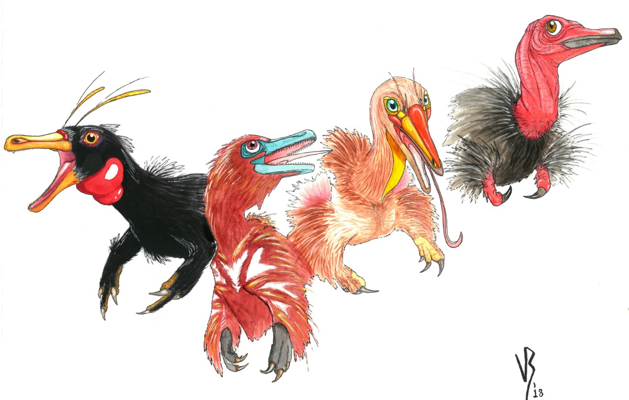 This illustration shows where two newly discovered dinosaur species fit in the lineage of alvarezsaurs (from left): Haplocheirus, Xiyunykus, Bannykus and Shuvuuia. The species show lengthening of the jaws, reduction of the teeth and changes in the hand and arm over time. (Illustration: Viktor Radermacher) This illustration shows where two newly discovered dinosaur species fit in the lineage of alvarezsaurs (from left): Haplocheirus, Xiyunykus, Bannykus and Shuvuuia. The species show lengthening of the jaws, reduction of the teeth and changes in the hand and arm over time. (Illustration: Viktor Radermacher)