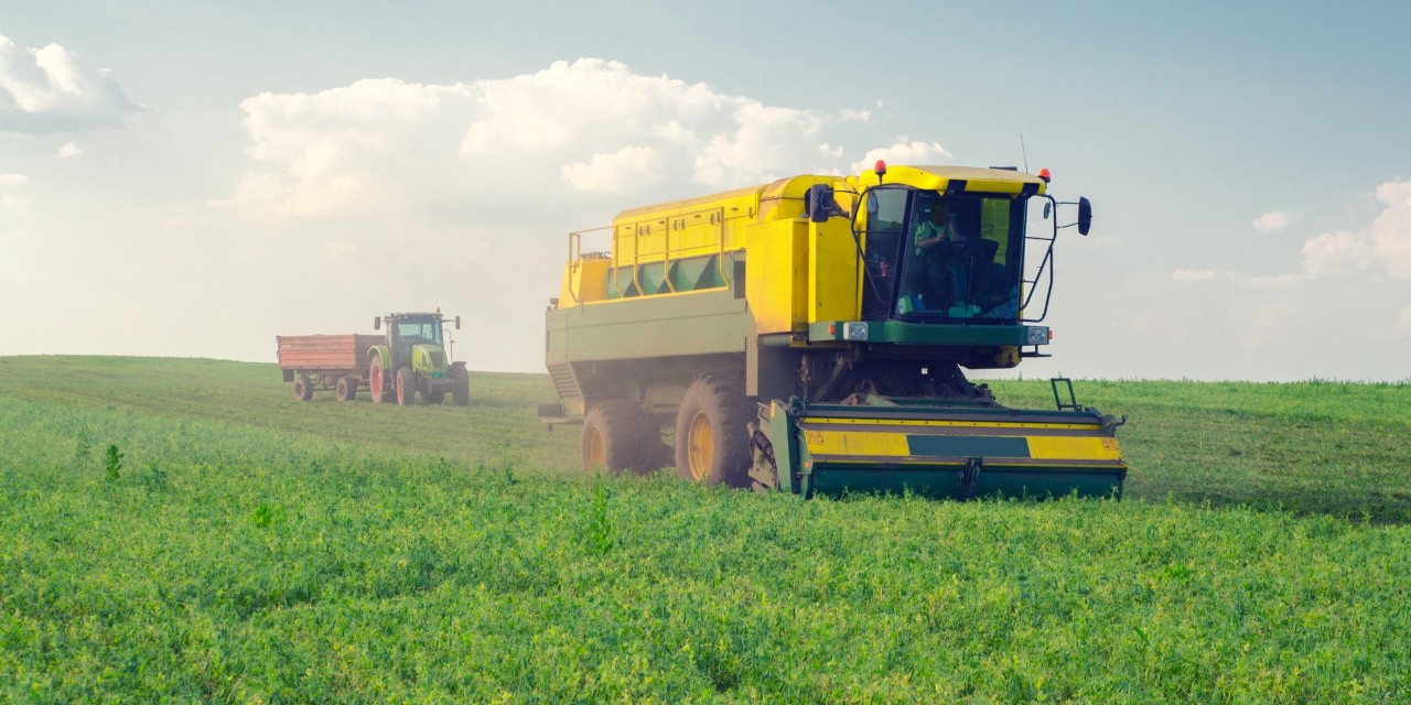 The Canadian agri-food industry is facing massive challenges as new problems continue to pop up and old ones persist. Without a change in how we do things, we'll never achieve our full potential, says Stanford Blade, dean of the U of A's Faculty of Agricultural, Life & Environmental Sciences. (Photo: Getty Images) The Canadian agri-food industry is facing massive challenges as new problems continue to pop up and old ones persist. Without a change in how we do things, we'll never achieve our full potential, says Stanford Blade, dean of the U of A's Faculty of Agricultural, Life & Environmental Sciences. (Photo: Getty Images)