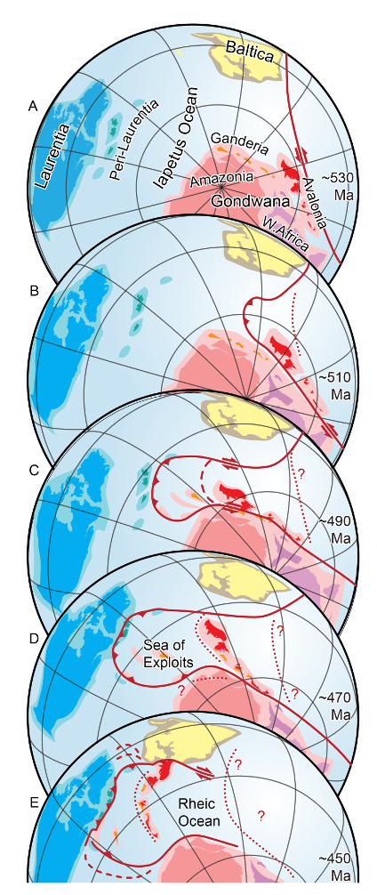 This graphic shows the possible geography of the Iapetus Ocean in a series of snapshots from the Cambrian Period (about 530 million years ago) until the Late Ordovician Period (about 450 million years ago). The continent Laurentia, which formed the core of modern North America, is shown in blue. Yellow colours represent Baltica, which became Scandinavia and Eastern Europe. Shades of pink and magenta represent parts of Gondwana, which was located over the South Pole in the Cambrian Period and included modern South America and Africa. The red and orange fragments are pieces of Gondwana that found their way into the Appalachian and Caledonide mountain ranges, including much of Atlantic Canada and portions of Great Britain and Ireland. This graphic shows the possible geography of the Iapetus Ocean in a series of snapshots from the Cambrian Period (about 530 million years ago) until the Late Ordovician Period (about 450 million years ago). The continent Laurentia, which formed the core of modern North America, is shown in blue. Yellow colours represent Baltica, which became Scandinavia and Eastern Europe. Shades of pink and magenta represent parts of Gondwana, which was located over the South Pole in the Cambrian Period and included modern South America and Africa. The red and orange fragments are pieces of Gondwana that found their way into the Appalachian and Caledonide mountain ranges, including much of Atlantic Canada and portions of Great Britain and Ireland.