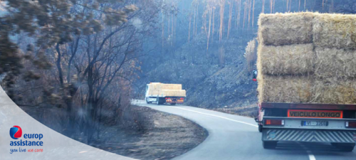 EA Portugal supporting victims of fires EA Portugal supporting victims of fires