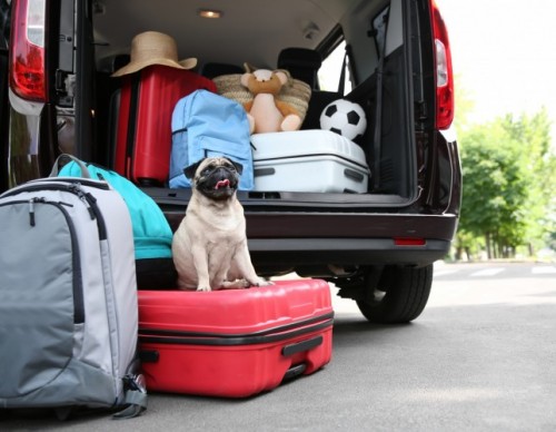 pack like a pro pack like a pro