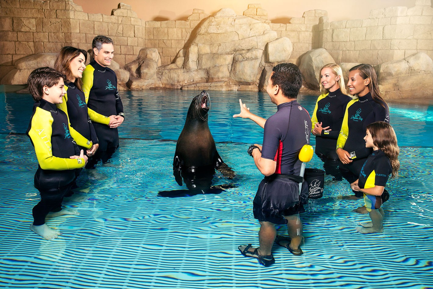 Sea Lion Point_Sea Lion Discovery_Group - Sea Lion Point_Sea Lion Discovery_Group Sea Lion Point_Sea Lion Discovery_Group