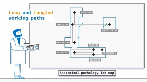Anatomical Pathology Lab Map - Anatomical Pathology Lab Map Anatomical Pathology Lab Map