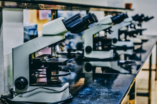 The United Nations General Assembly designated February 11th as the International Day of Women and Girls in Science - Microscopes The United Nations General Assembly designated February 11th as the International Day of Women and Girls in Science