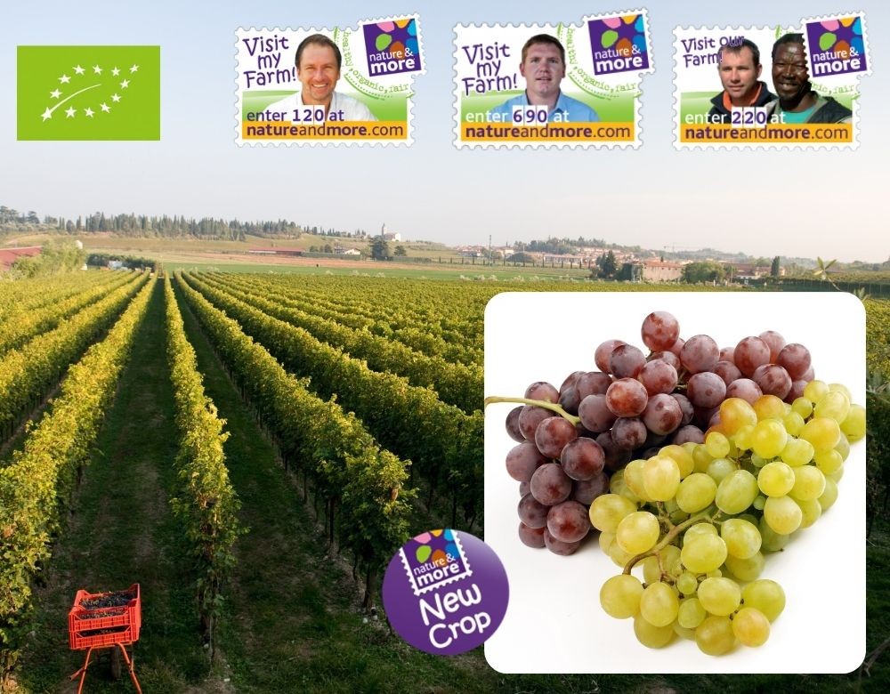 Newsletter (37) - Newsletter (37)