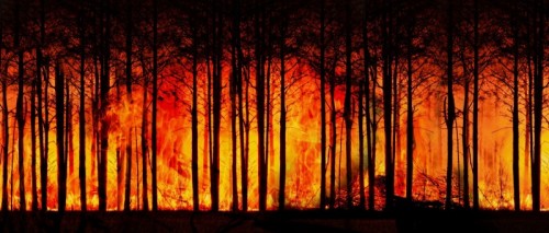 Climate Change - Forest Fire - Climate Change - Forest Fire