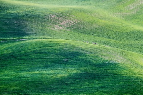 Green - Green