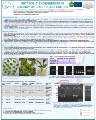 MBogdanovic_Agrosym_poster-Small - MBogdanovic_Agrosym_poster-Small