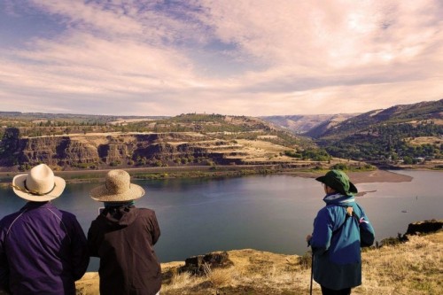 Rowenta-Plateau_54_990x660 Rowenta-Plateau_54_990x660