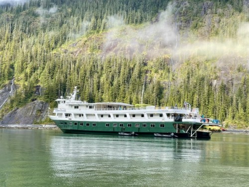 Wilderness Discoverer Alaska Mist Wilderness Discoverer Alaska Mist