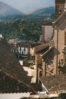 alexandra-salvado-WJ-H_ewjcU4-unsplash alexandra-salvado-WJ-H_ewjcU4-unsplash