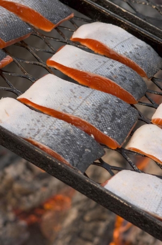Silver+Salmon