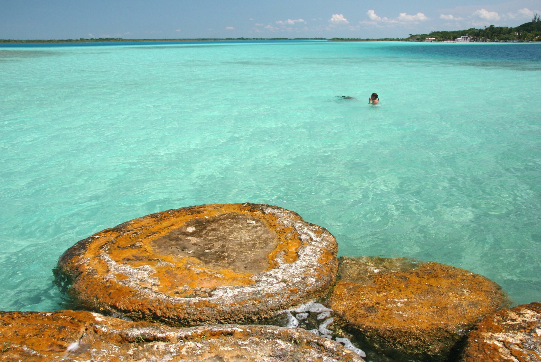Bacalar 1