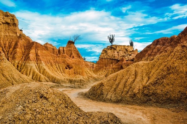 Desierto Desierto