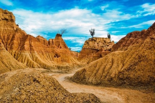 Desierto - Desierto