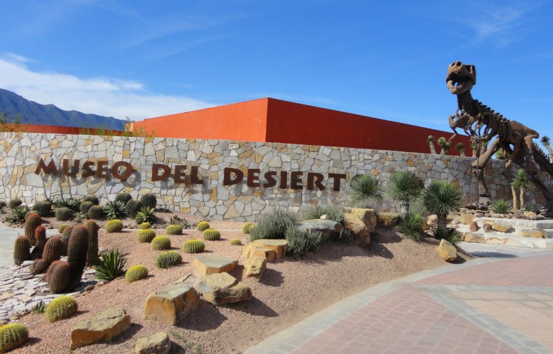 museodeldesierto