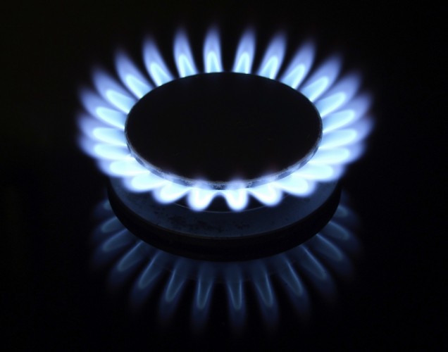 gasburneronstove.jpg