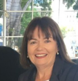 Chris Went, Mater Health Executive Director 
