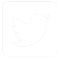 View our Twitter