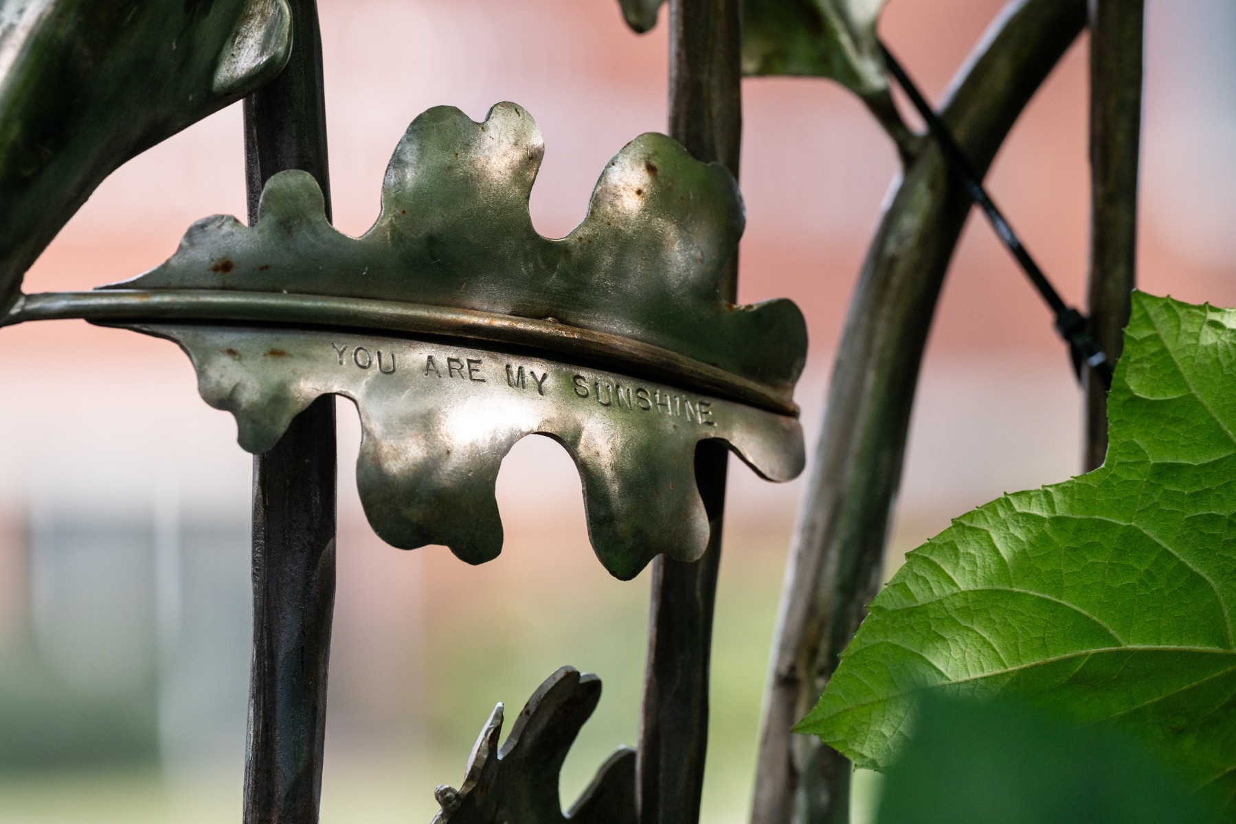 The Secret Garden Wings