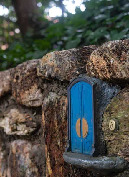 Tiny Door