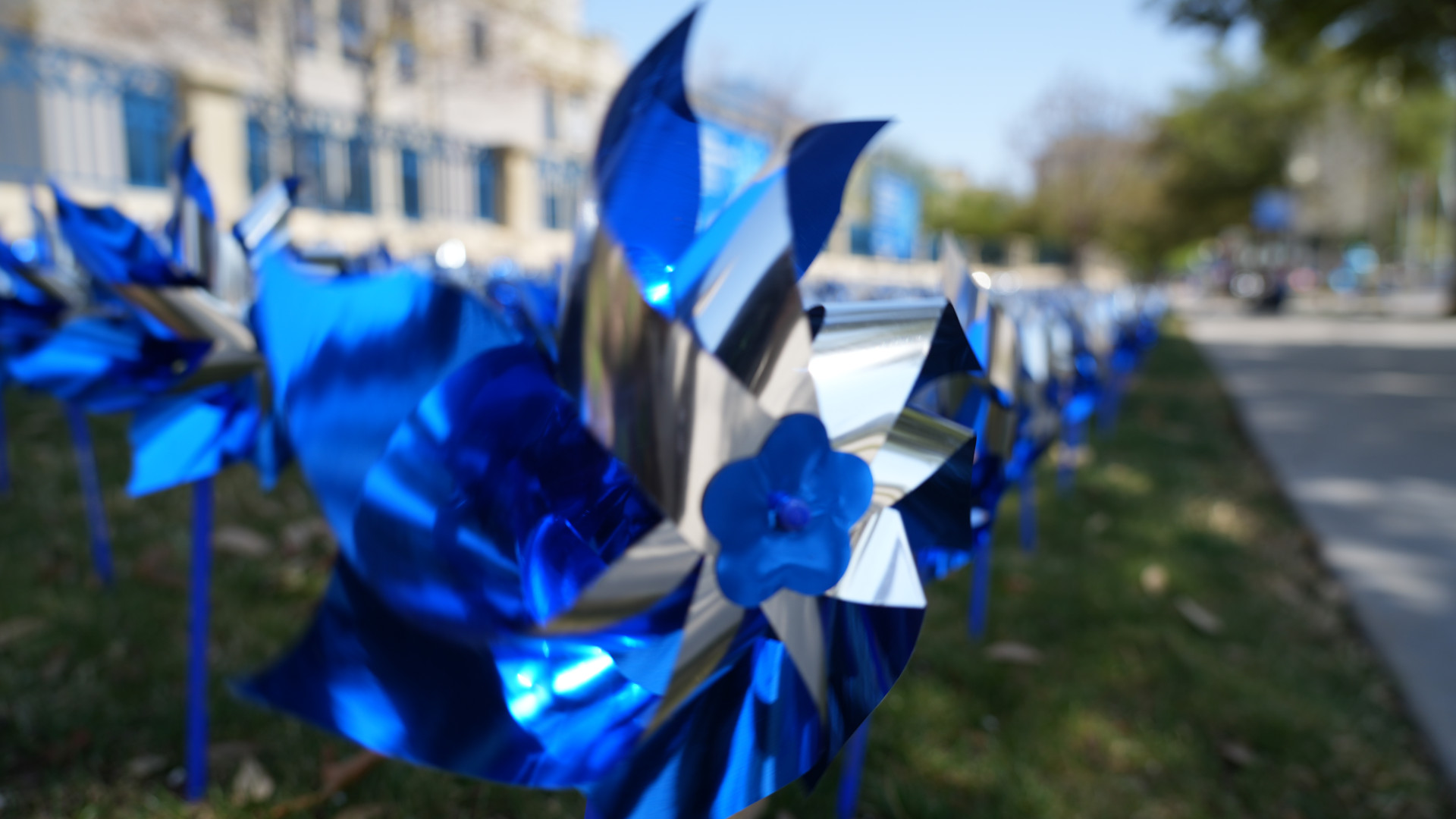 Fort Worth Pinwheels 2025 (1)