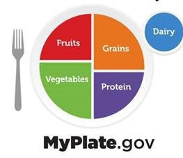 my plate