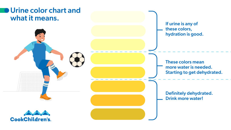 Hydration Urine Chart