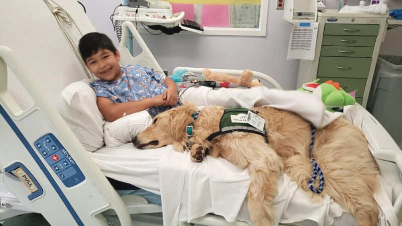 Pediatric stroke awareness month (1)